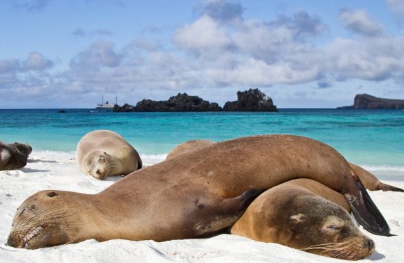ECUADOR E GALAPAGOS