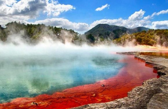 NUOVA ZELANDA – AOTEAROA