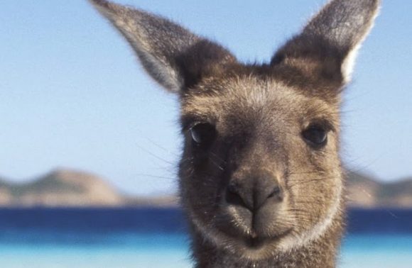 AUSTRALIA E FIJI