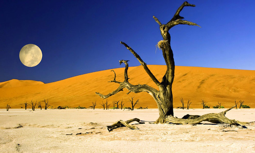 IL MEGLIO DELLA NAMIBIA