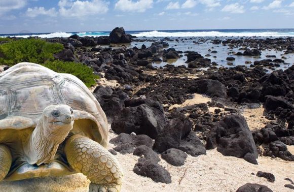 ECUADOR E GALAPAGOS