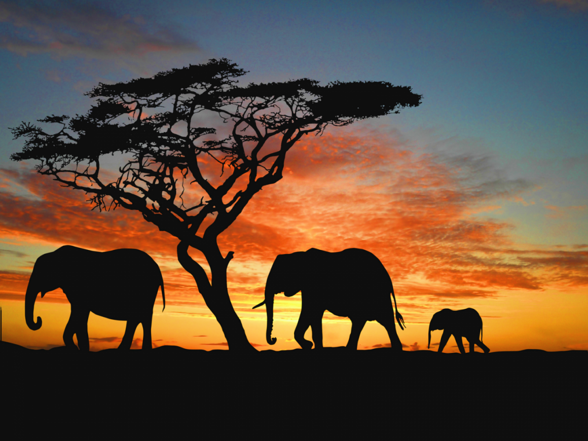 IL MEGLIO DELLA NAMIBIA