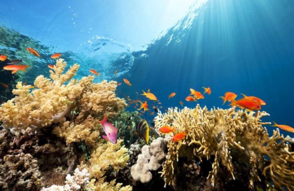 NATALE E CAPODANNO 2024 A SHARM EL SHEIKH