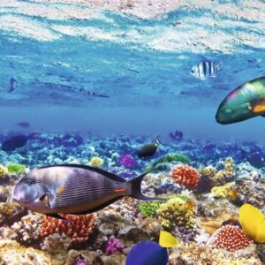 NATALE E CAPODANNO 2024 A SHARM EL SHEIKH