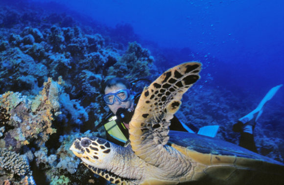 NATALE E CAPODANNO 2024 A SHARM EL SHEIKH