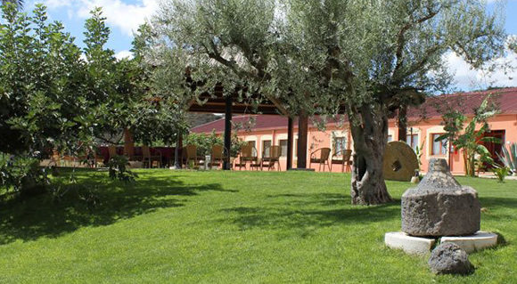 FERRAGOSTO 2025 – COLLE SAN MAURO